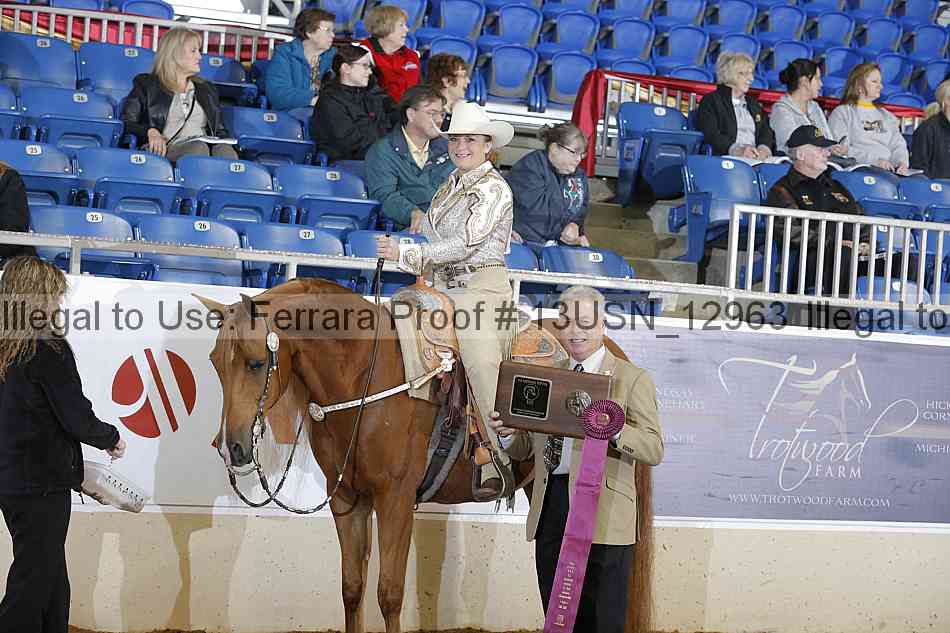 Proof 13usn_12963