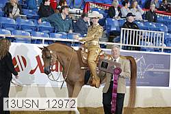 13usn_12972 proof