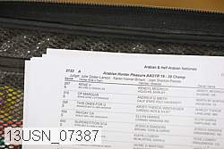 13usn_07387 proof