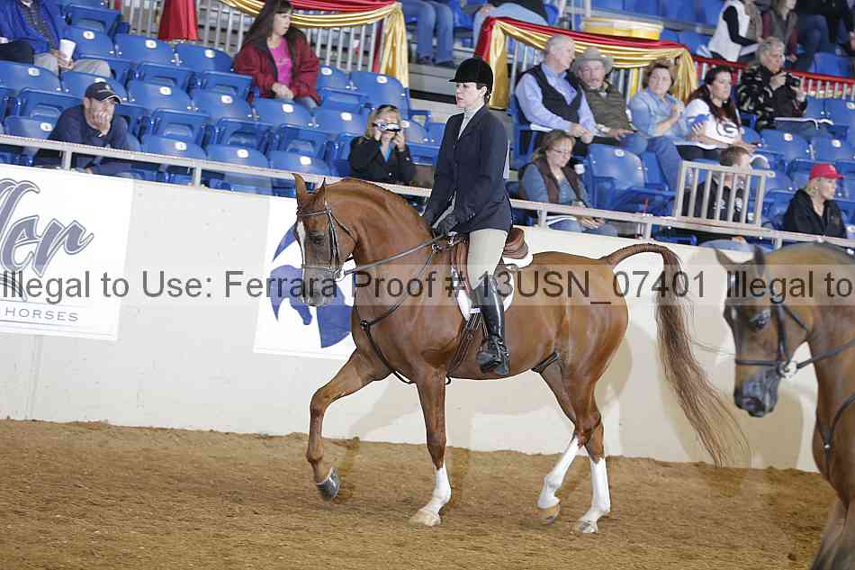 Proof 13usn_07401