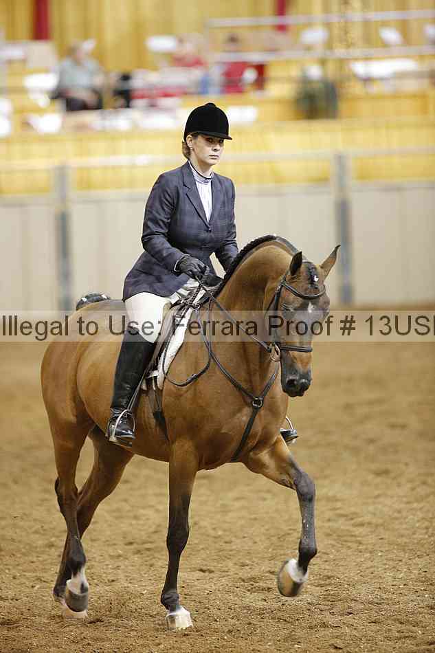 Proof 13usn_07402
