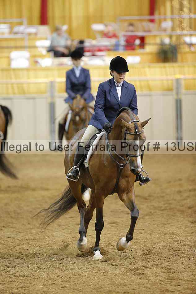Proof 13usn_07406