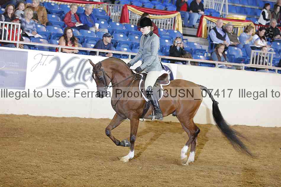 Proof 13usn_07417