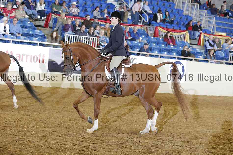 Proof 13usn_07418