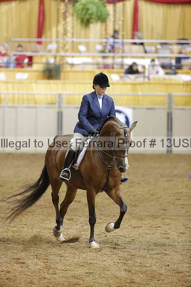 Proof 13usn_07419