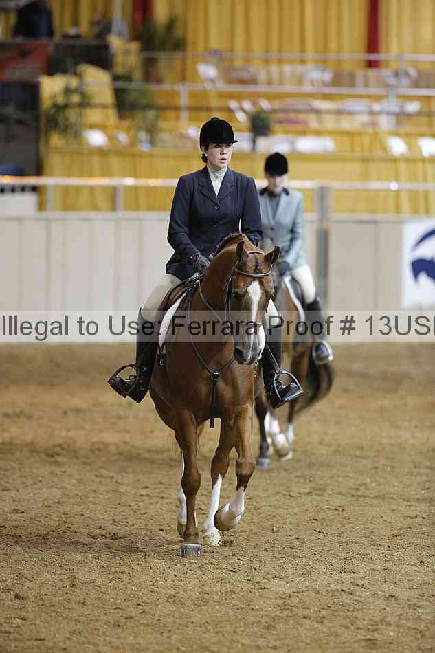 Proof 13usn_07424