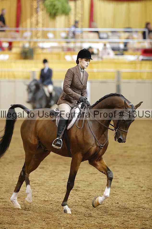 Proof 13usn_07426