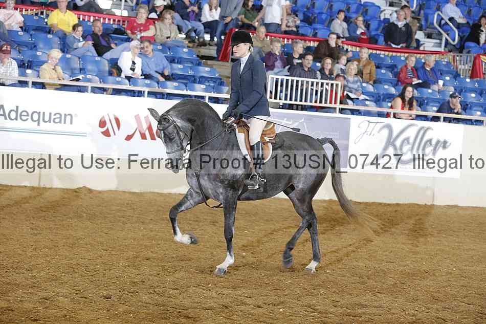 Proof 13usn_07427