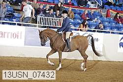 13usn_07432 proof