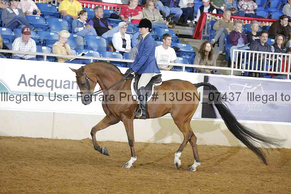 Proof 13usn_07437