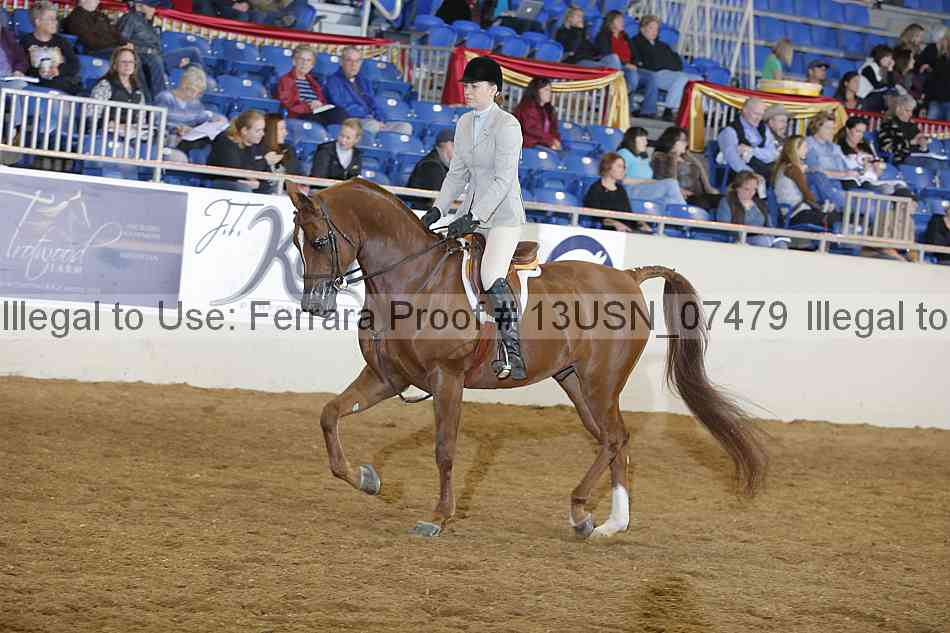 Proof 13usn_07479