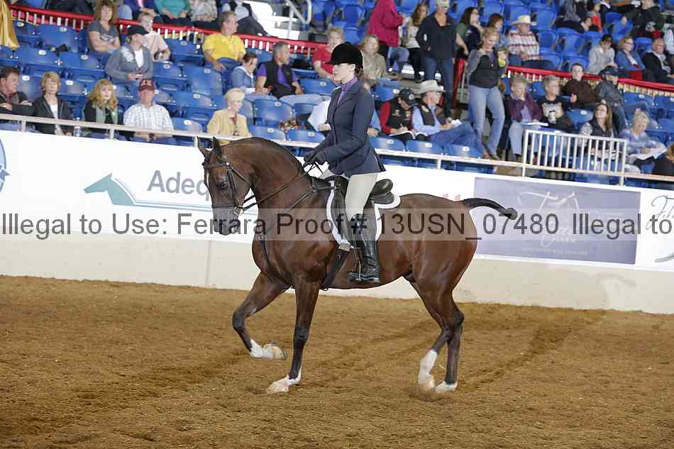 Proof 13usn_07480