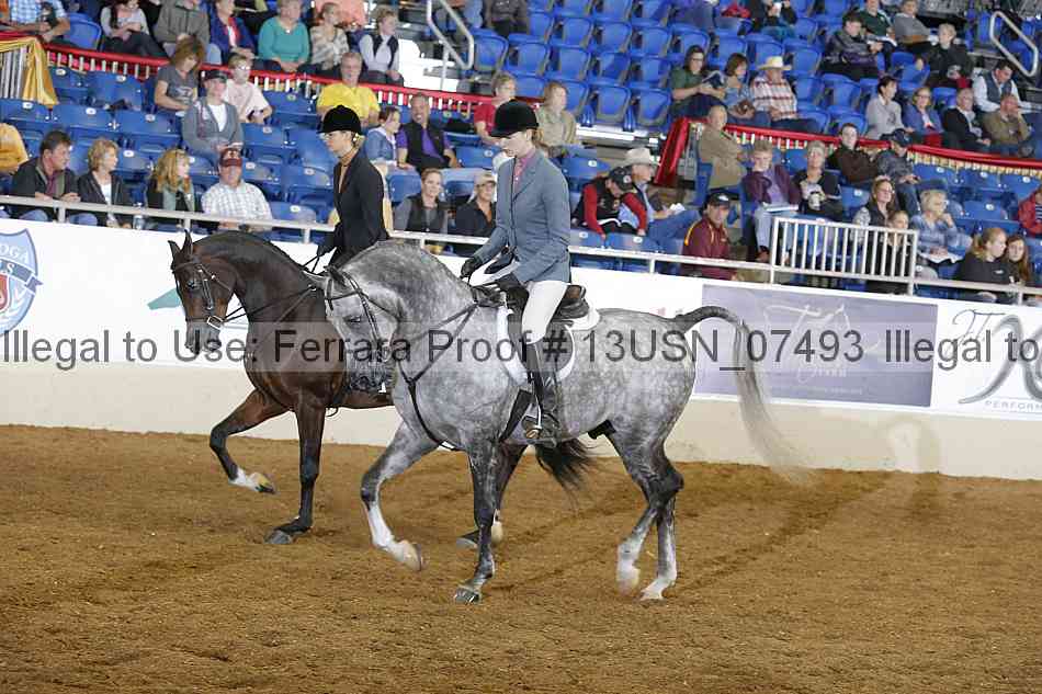 Proof 13usn_07493