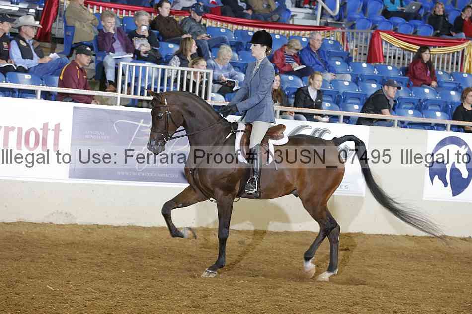 Proof 13usn_07495