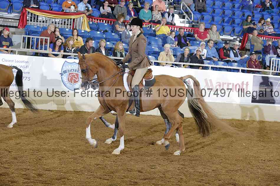 Proof 13usn_07497