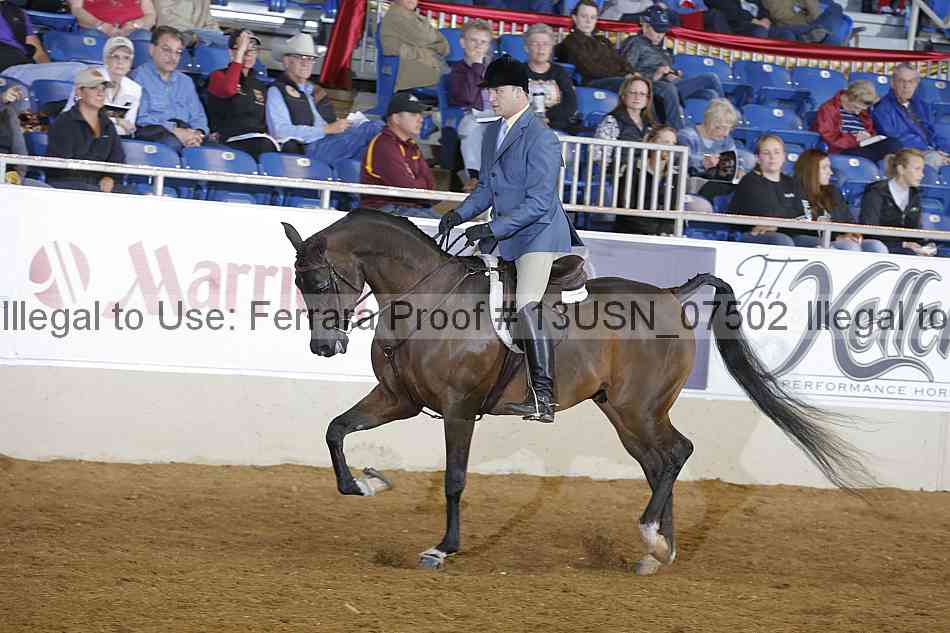 Proof 13usn_07502