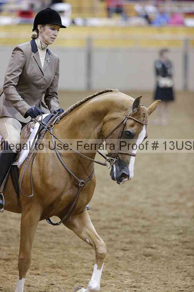 Proof 13usn_07509