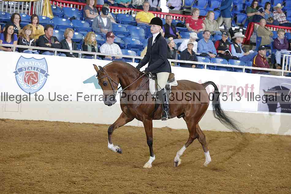 Proof 13usn_07513
