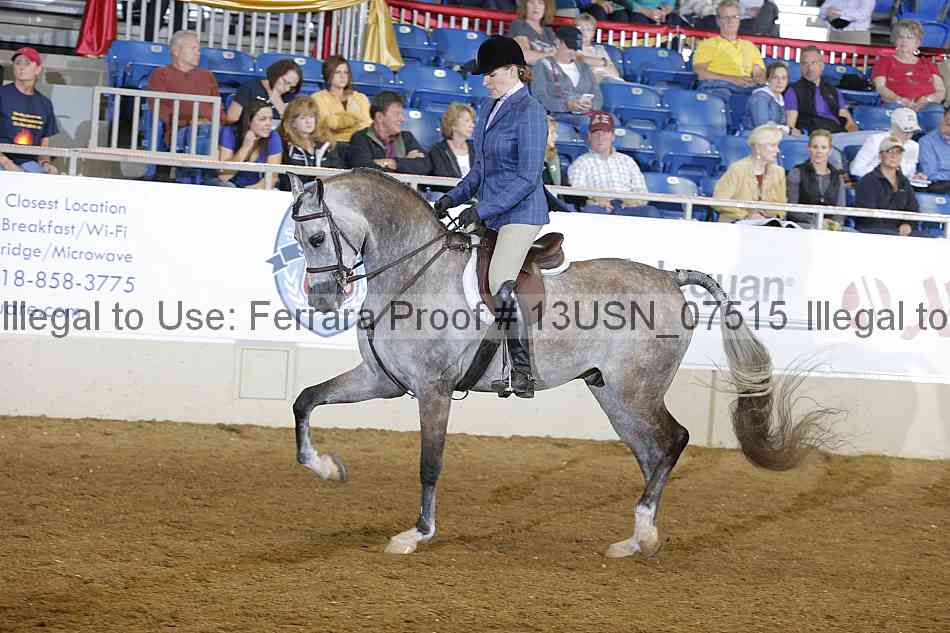 Proof 13usn_07515