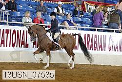 13usn_07535 proof
