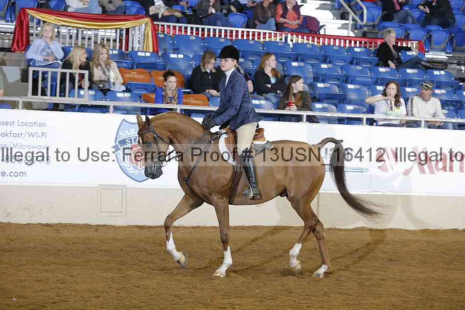 Proof 13usn_16412