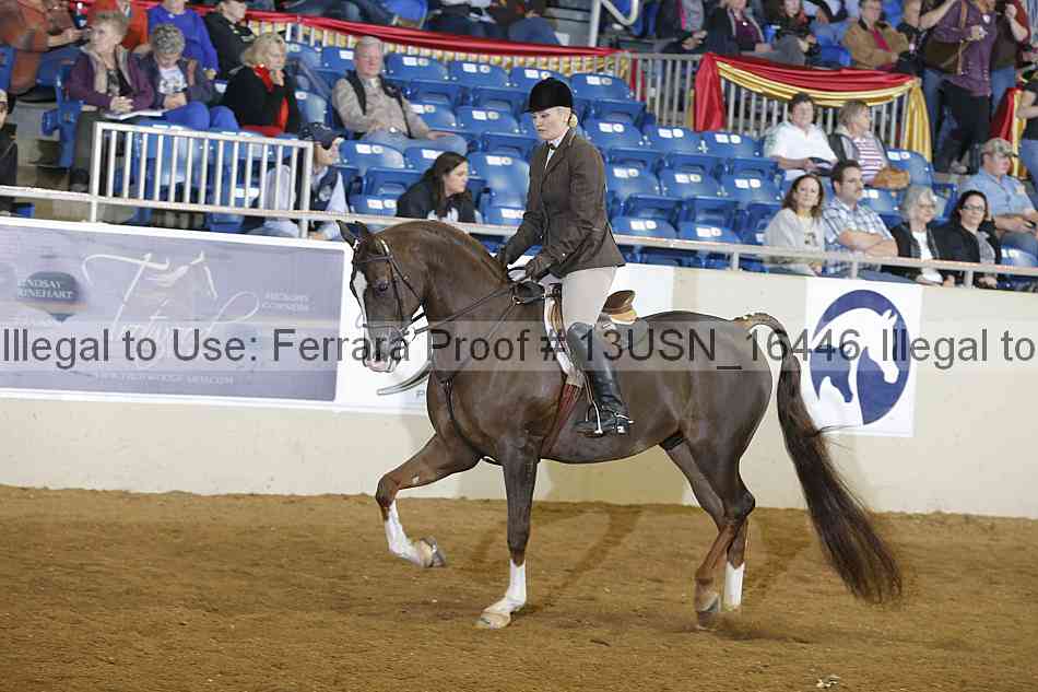Proof 13usn_16446