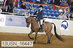 13usn_16447 proof