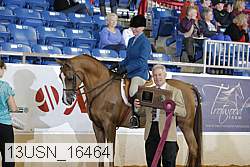 13usn_16464 proof