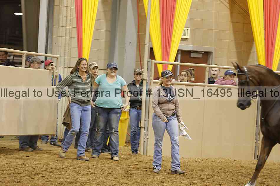 Proof 13usn_16495