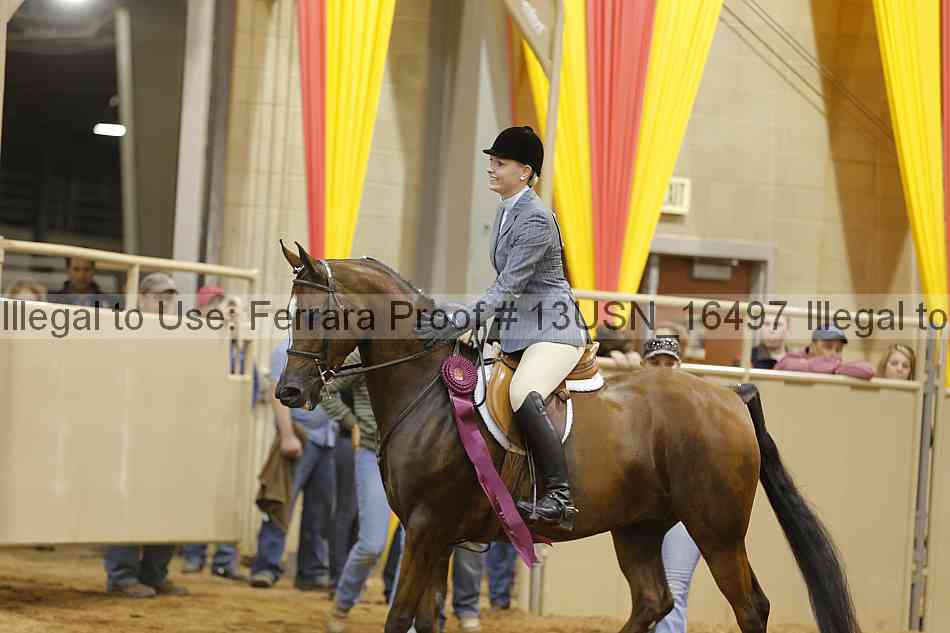 Proof 13usn_16497