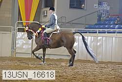 13usn_16618 proof