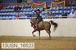 13usn_16623 proof