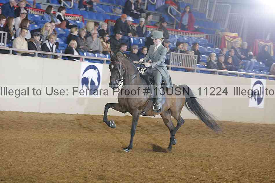 Proof 13usn_11224