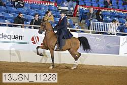 13usn_11228 proof