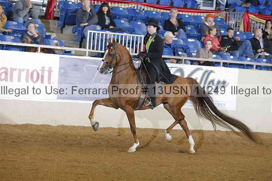 Proof 13usn_11249