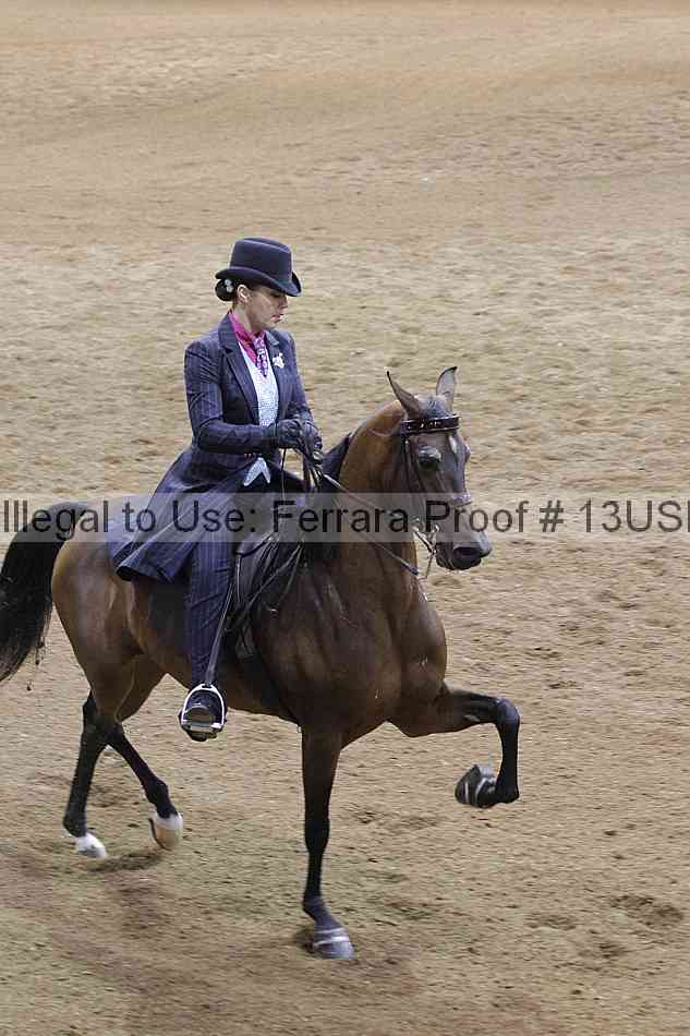 Proof 13usn_11252