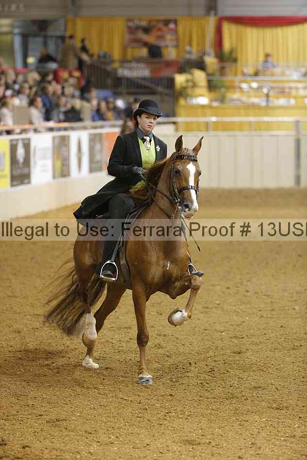 Proof 13usn_11261