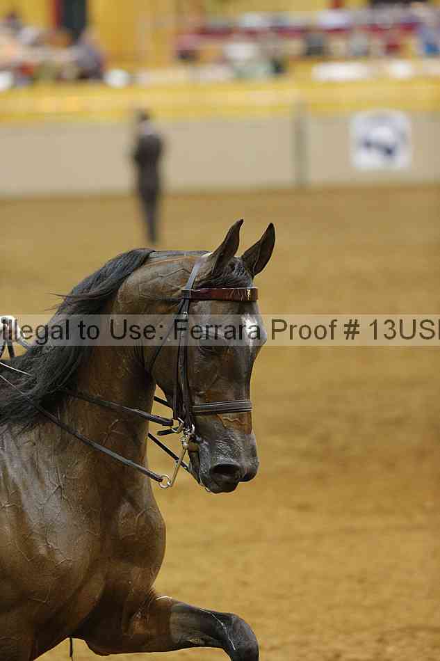 Proof 13usn_11268