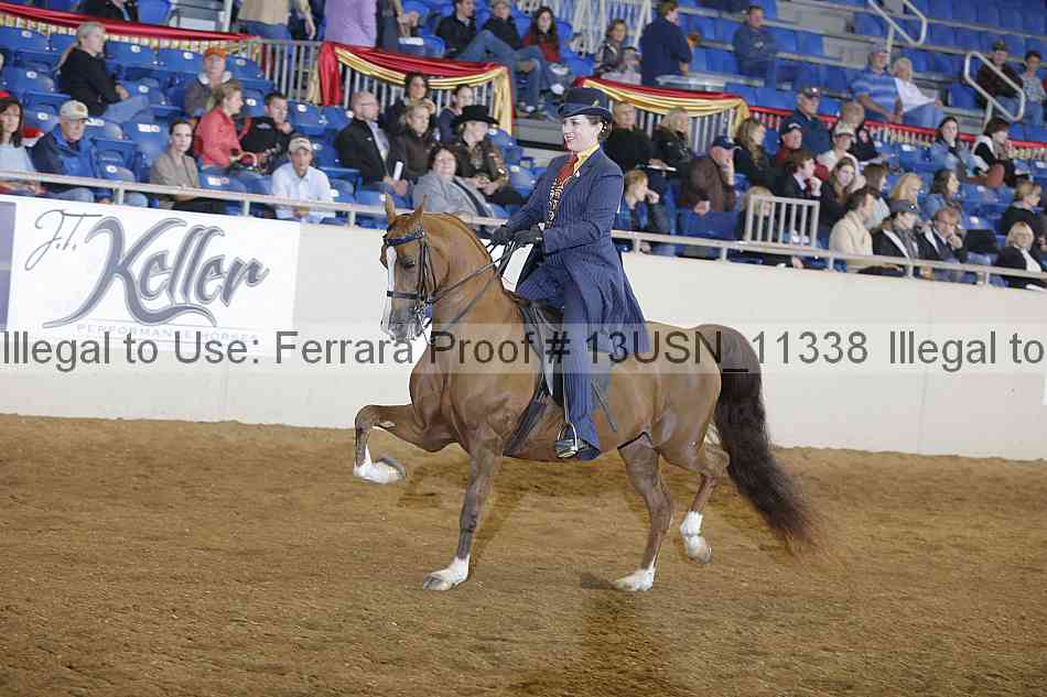 Proof 13usn_11338