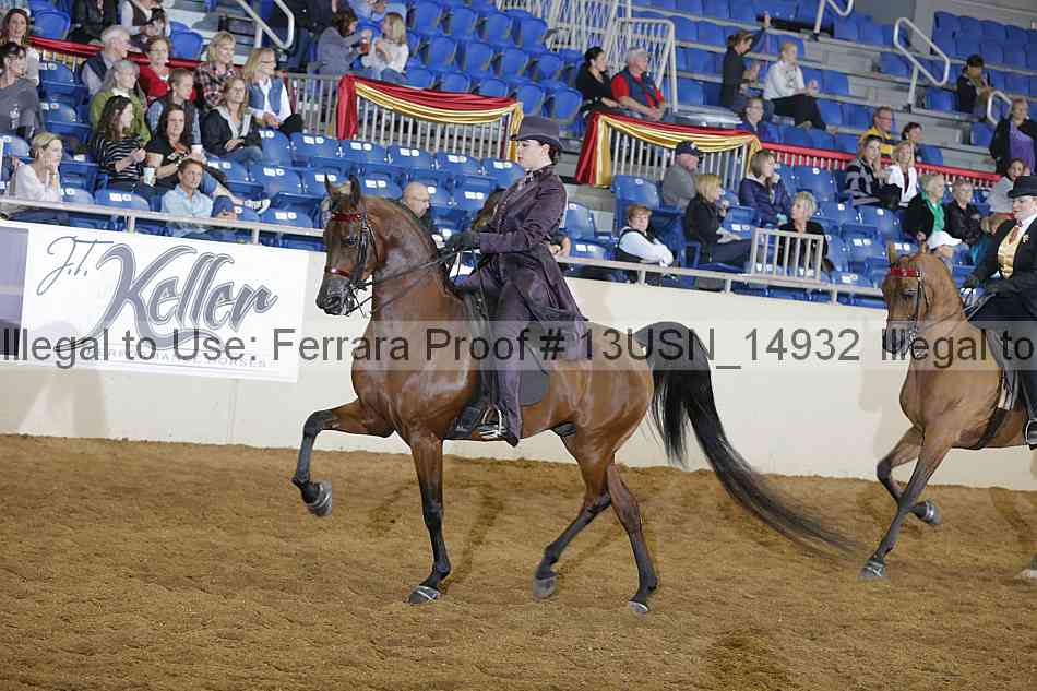Proof 13usn_14932