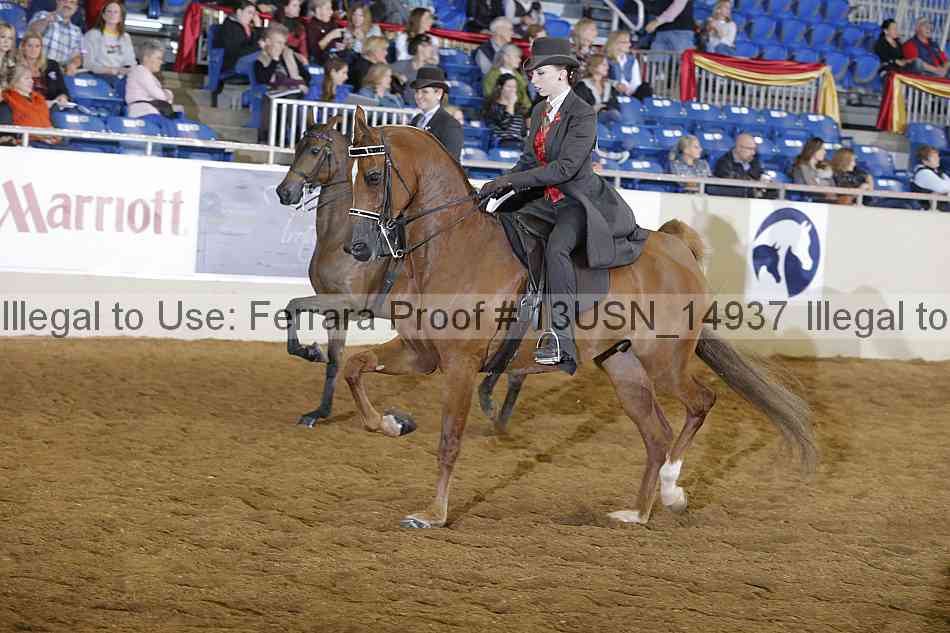 Proof 13usn_14937