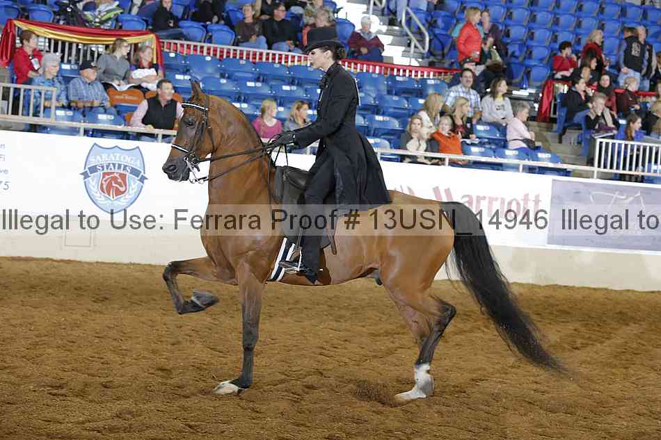 Proof 13usn_14946