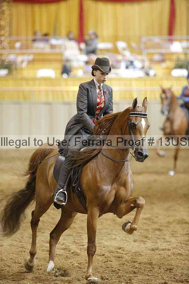Proof 13usn_14950