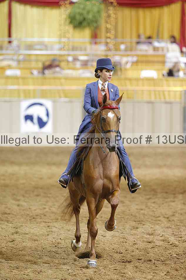 Proof 13usn_14954