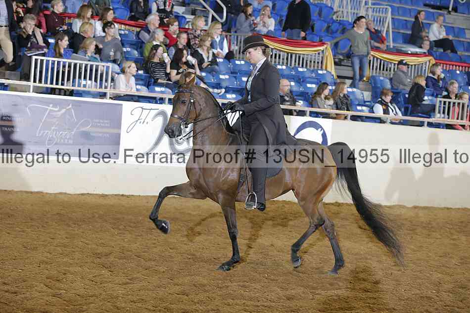 Proof 13usn_14955