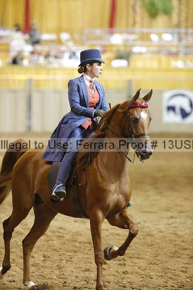 Proof 13usn_14956