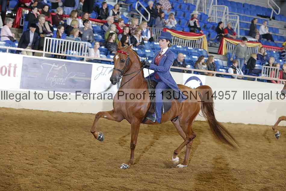 Proof 13usn_14957