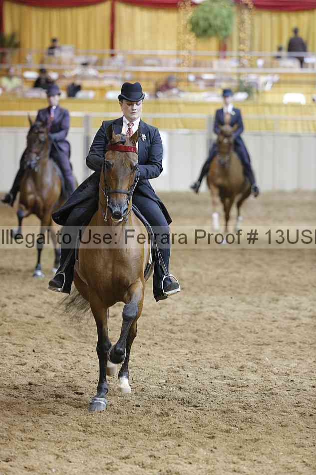 Proof 13usn_14971