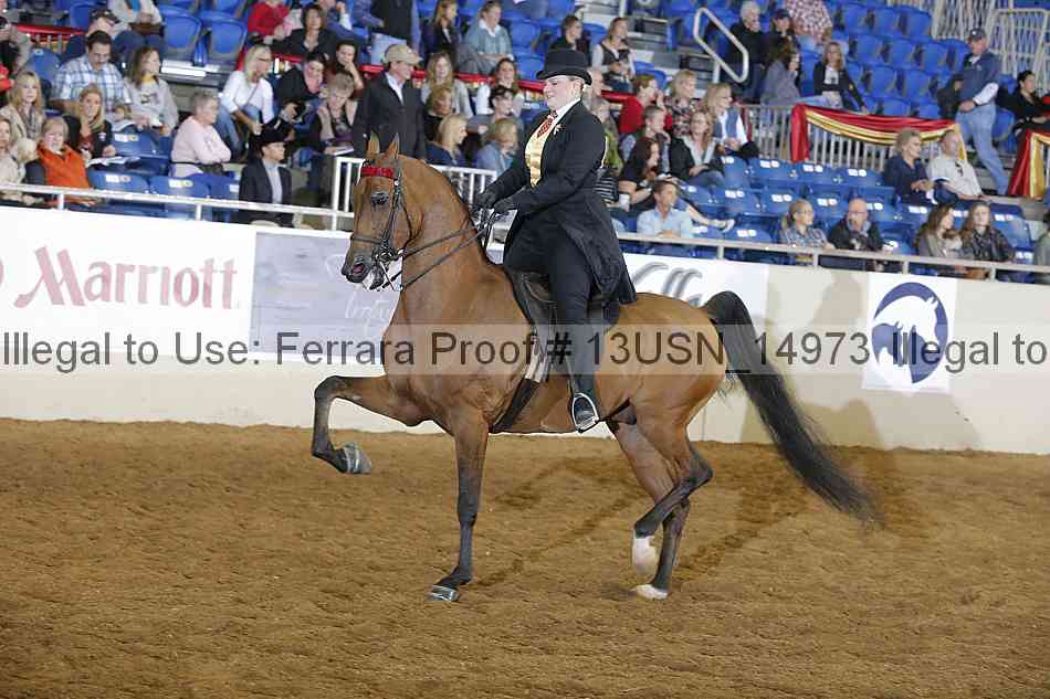 Proof 13usn_14973