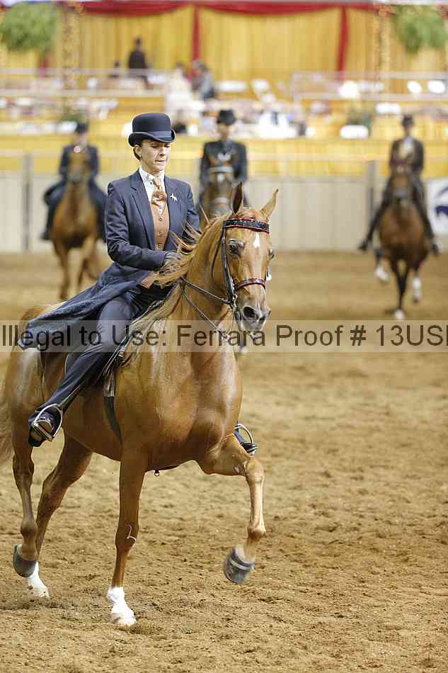 Proof 13usn_14974